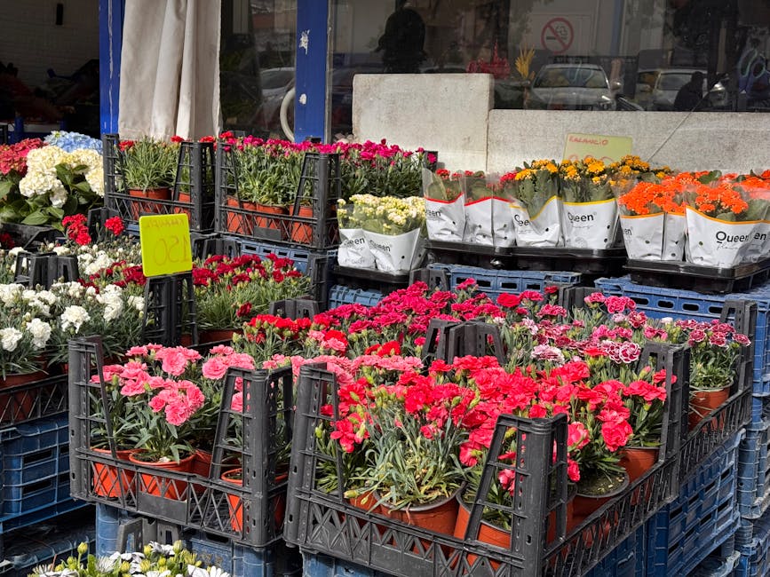 Outdoor display of various potted flowering plants, including pink, red, white, yellow, and orange blossoms, arranged in black plastic trays and crates outside a flower shop. The flowers are fresh, wi