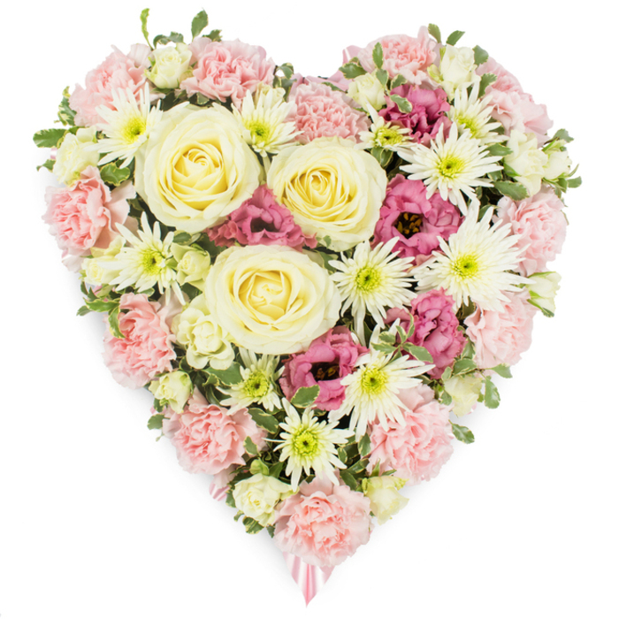 A lovingly arranged heart-shaped floral tribute fills the frame against a bright white background, its abundance of blossoms speaking softly of remembrance, compassion, and enduring love. The entire heart is densely packed with flowers, creating a smooth, cohesive surface where every bloom touches another, giving an impression of unity and closeness. In the central area, several prominent roses in shades of creamy ivory and pale yellow open in generous spirals, their soft, velvety petals symbolising purity of feeling and a gentle, reassuring presence. Radiating outward from these roses, clusters of pale pastel pink carnations form the main body and outline of the heart, their richly frilled petals layered upon one another to produce a billowing, textured effect. White spider chrysanthemums, instantly recognisable by their many needle-fine petals and bright green eyes, are dotted among the carnations, adding shards of crisp white and a slightly more architectural silhouette to the composition. Deeper magenta-pink lisianthus blooms nestle in carefully chosen pockets, their softly cupped, bell-like shapes and saturated colour introducing emotional depth and a modern note to this classic tribute. Here and there, glimpses of fresh green foliage and tiny buds appear between petals, giving a natural, garden-like feel that echoes the greenery found along Golders Green Road or in the quiet streets leading toward Hampstead. At the lower point of the heart, a soft pink ribbon discreetly emerges, gently indicating the piece's purpose as a funeral or sympathy arrangement. Created by an experienced Golders Green florist, this heart would be a fitting floral expression of love and condolence at local services, memorials, or graveside tributes.