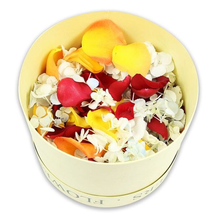In this elegant image, a cylindrical cream-coloured hatbox sits alone on a seamless white surface, photographed from a slightly raised angle that offers a full view into its contents. The box has a soft, buttery hue and a smooth, matte finish, with the word FLOWERS faintly embossed along the rim in refined lettering, much like the subtle branding you might notice at Golders Green Flowers. The open top reveals a carefully curated mix of preserved petals and small blossoms, piled in a gentle mound that rises just above the edge. Dominating the visual field are deep crimson rose petals, velvety and lush, some lying flat while others curl inward, catching the light along their edges. Interwoven among them are petals in bright yellow and muted peach-orange, adding warmth and a sense of gentle radiance, reminiscent of the afternoon sun over Golders Hill Park. Scattered throughout the mix, tiny white hydrangea florets cluster together, with delicate, almost translucent petals and just a hint of pale blue in places. These small blossoms introduce a fine, lace-like texture, offsetting the bold, smooth curves of the rose petals. The lighting is soft and even, eliminating harsh shadows and creating a tranquil, contemplative atmosphere. With no other objects present, the focus remains entirely on this harmonious blend of colour and form, suggesting a refined tribute or memorial gesture. This dried petal arrangement would be ideal for scattering at a graveside service near Golders Green, adorning a memory table at a shiva house, or displayed in shallow bowls as a lasting symbol of affection and respect, offering a natural yet sophisticated way to honour a loved one.