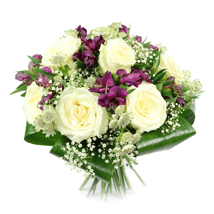 This image presents a meticulously composed bouquet set against a bright white background, every element clearly visible as though you were examining it up close in a Golders Green florist's studio. The arrangement is compact and slightly domed, with several large creamy white roses forming its core. These roses are in full bloom, their petals spiralling outward to create soft, rounded cups that radiate grace and quiet confidence. Woven between the roses are deep purple to magenta alstroemeria, also known as Peruvian lilies. Their slender, trumpet-shaped petals and subtle markings introduce a rich counterpoint of colour that immediately draws the eye. Some alstroemeria flowers are open and expressive, while others remain tightly closed, suggesting that the bouquet will continue to change and develop after delivery around Golders Green and nearby Brent Cross. Delicate sprays of white gypsophila thread through the design, the tiny blossoms forming a fine, airy lattice that softens the transition between each focal bloom and adds an ethereal veil of lightness. Interspersed with these are intricate heads of green-white astrantia, whose star-like bracts and textured centres lend an almost wildflower charm, as though freshly gathered from a well-tended garden near Golders Hill Park. The entire arrangement is framed at the base by broad, glossy aspidistra leaves, expertly folded to create a smooth collar of rich green that holds the flowers securely in place and provides striking contrast. At the bottom, the stems are aligned and neatly cut, clearly hand-tied. Overall, the bouquet evokes a mood of calm luxury and thoughtful care, making it an ideal choice for sympathy, intimate celebrations, or quiet moments of appreciation in the Golders Green community.