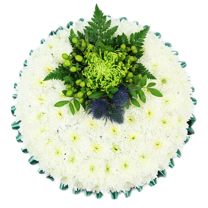 A round sympathy cushion dominates the frame, photographed from directly overhead so its precise craftsmanship is fully visible against a simple white backdrop. The main body of the tribute is made from clusters of small white chrysanthemums, tightly packed so that their petals interlock and form a smooth, cushioned surface. The blooms' faintly greenish-yellow centres bring a touch of warmth to the cool white, creating a gentle glow that feels appropriate for a dignified farewell in the Golders Green area. Encircling the floral base is a border of rich emerald satin ribbon, neatly pleated to produce a repeating scalloped edge. This ribbon trim rises slightly above the flowers and adds a sense of formality and finish, reminiscent of the traditional funeral pieces often delivered from Golders Green Flowers to local cemeteries and houses of worship. Towards the top centre of the pad sits a carefully arranged cluster of accent blooms and foliage. At its heart, a vivid lime spider chrysanthemum opens in a fountain of slender, curving petals, providing a dynamic contrast in shape and colour. Around it are glossy apple-green Hypericum berries in rounded bunches and layers of dark green fern fronds and leaves, which add depth, texture, and a lush garden feel. Standing proudly within this greenery are two Scottish thistles in deep dusty blue-violet, their globe-shaped, spiky heads and strong stems creating an eye-catching focal point. This combination of white, green, and blue suggests purity, renewal, and quiet strength, making the cushion a tasteful and personal tribute for honouring a loved one's memory, particularly when there is a connection to Scottish heritage.