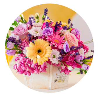 Birthday Flowers Golders Green