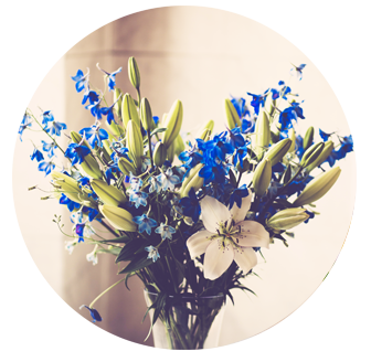 Sympathy Flowers Golders Green